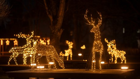 Südtirols nördlichster Punkt - mitten im Allgäu. 4*s Wellnesshotel Südtirols nördlichster Punkt - mitten im Allgäu. 4*s Wellnesshotel