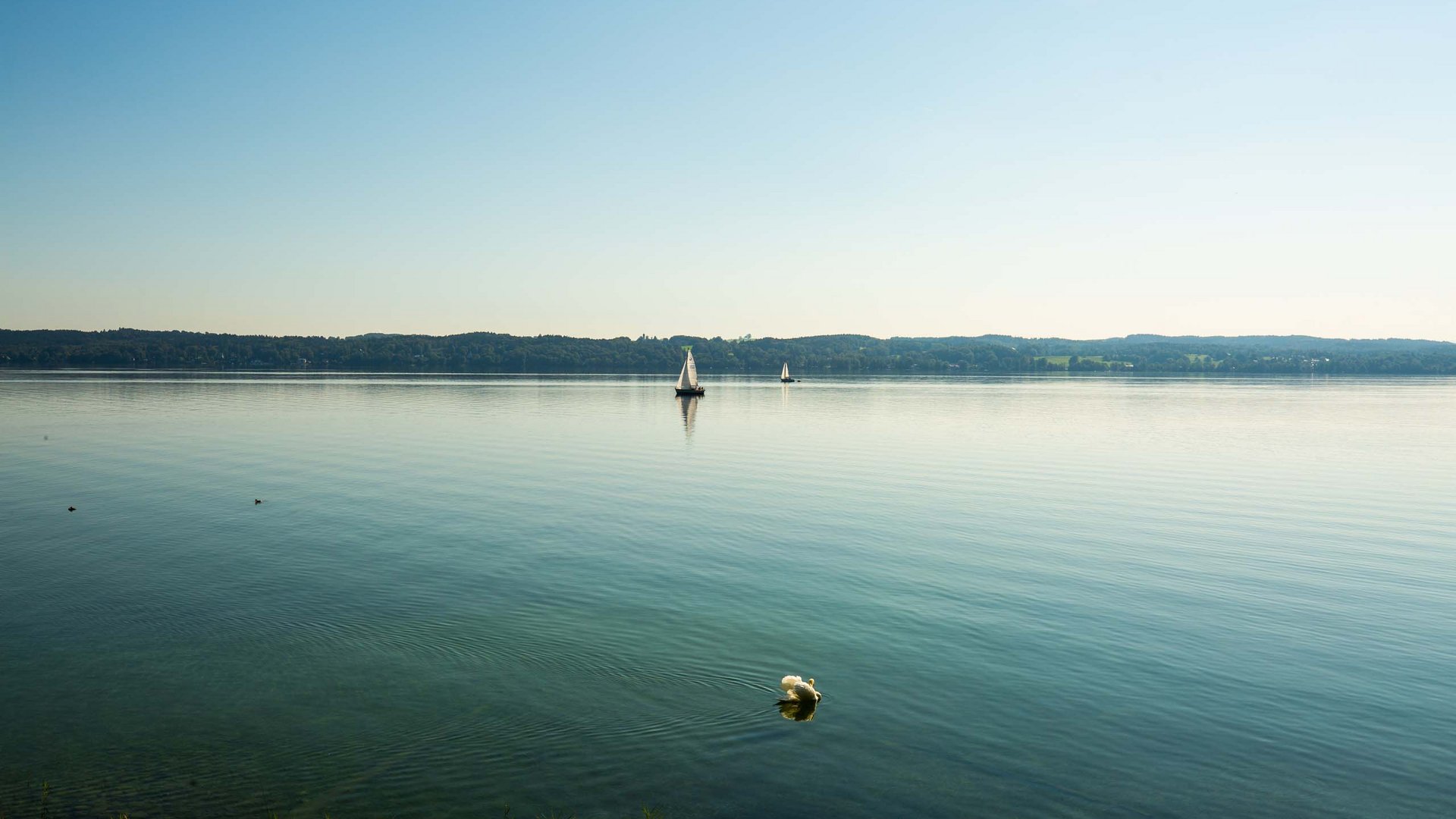 Das Parkhotel Bad Wörishofen: charming lakes nearby